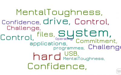 Engineering Efficiency in Human Development