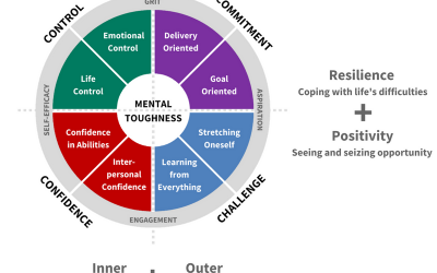 Mental Toughness and its Connection with Related Concepts