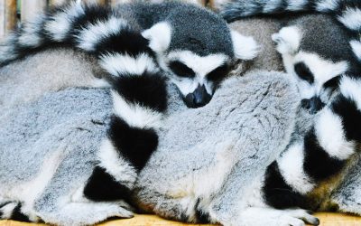 Resilience Is About How You Recharge, Not How You Endure