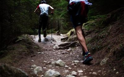 How Six Minutes Of Exercise A Week Can Make You Fit