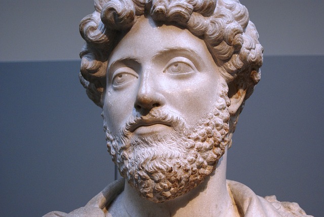 Marcus Aurelius and Mental Toughness Quotes