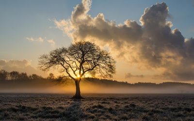 Be Prepared To Bounce Back – How To Become More Resilient