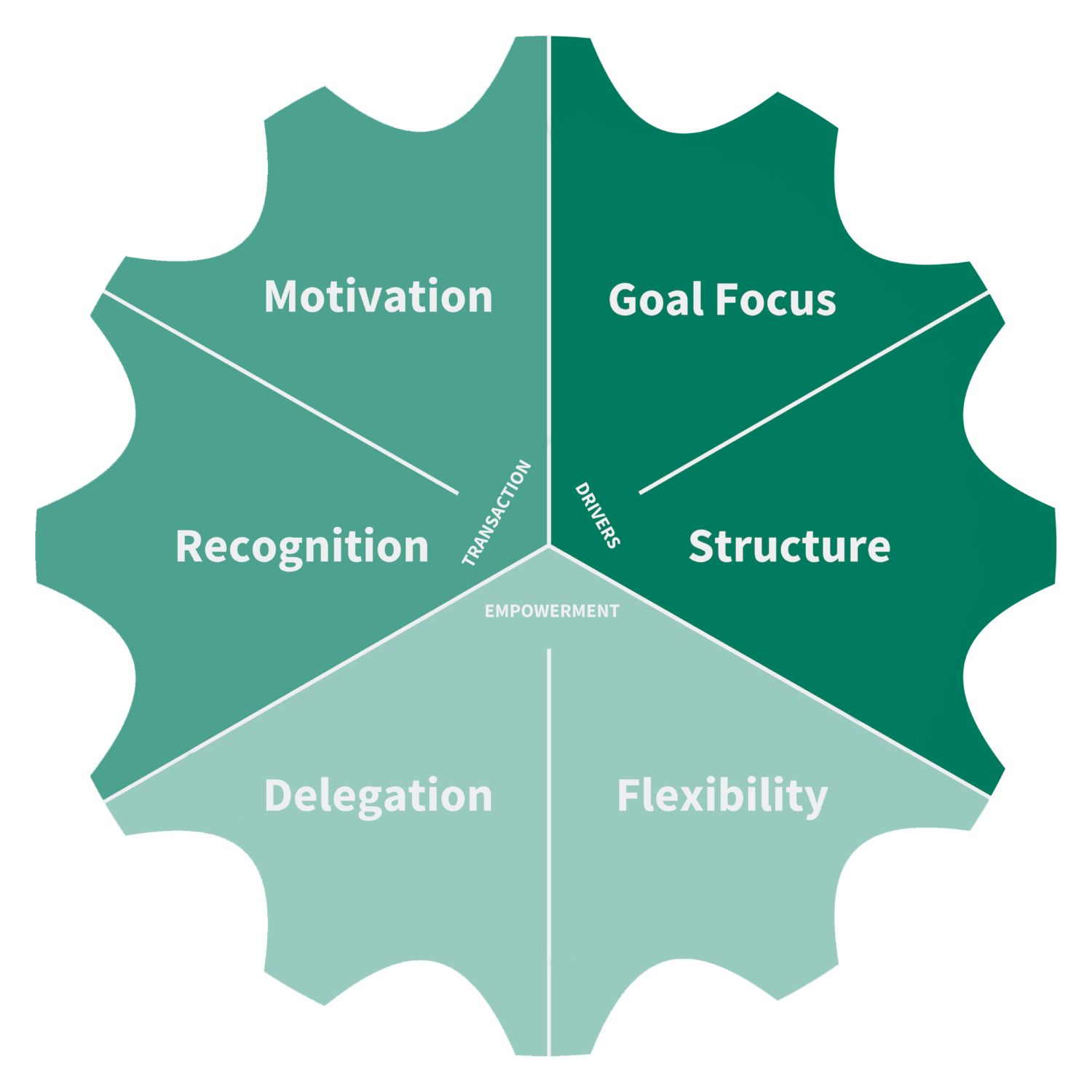 Leadership Styles; Motivation, Recognition, Goal Focus, Structure, Flexibility, Delegation, 