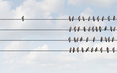 MTQ Accreditation Workshop – Thursday 27 February 2020, Sydney, Australia