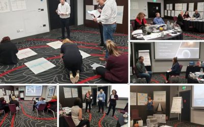 EMCC Foundation Level Coaching Programme, “Coaching with Purpose”  Trainers perspective