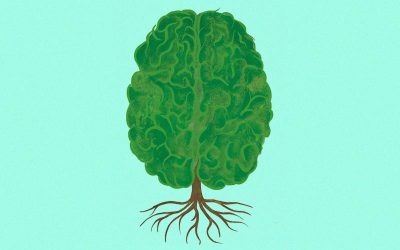 The Older Brain Is Wise, Compassionate and Creative