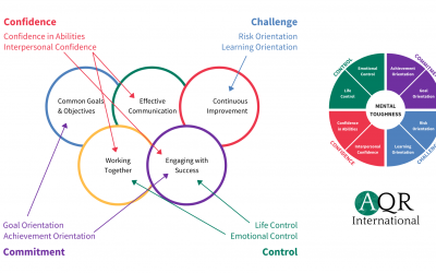 Team Working, the TWOI and Mental Toughness