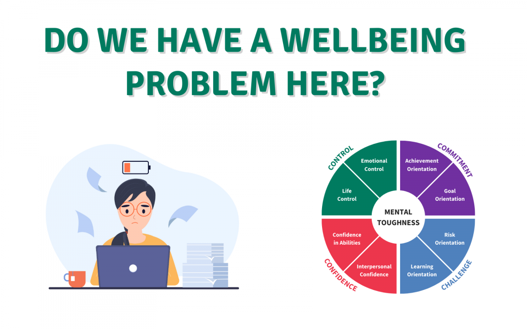 Do We Have a Wellbeing Problem Here?
