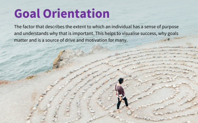 Eight Factors – Goal Orientation