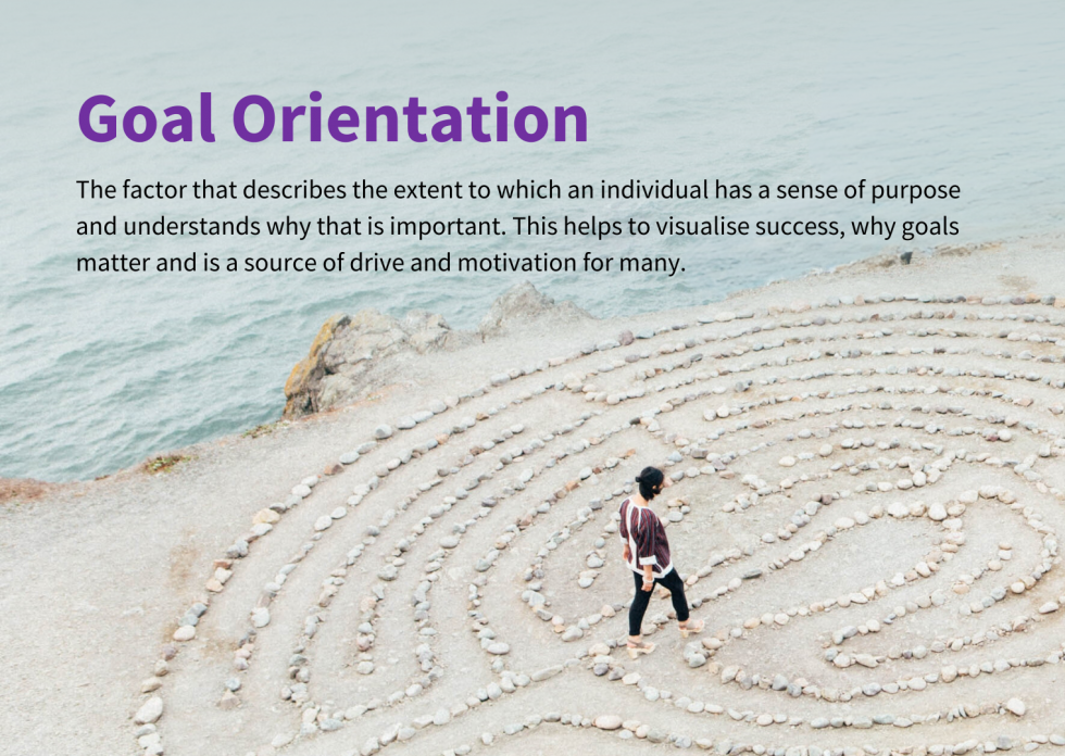 Eight Factors Goal Orientation AQR International