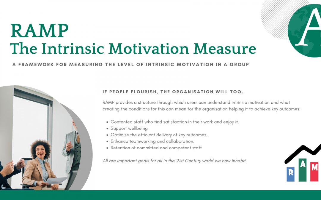 An Opportunity to Assess Intrinsic Motivation in Your Organisation Free of Charge