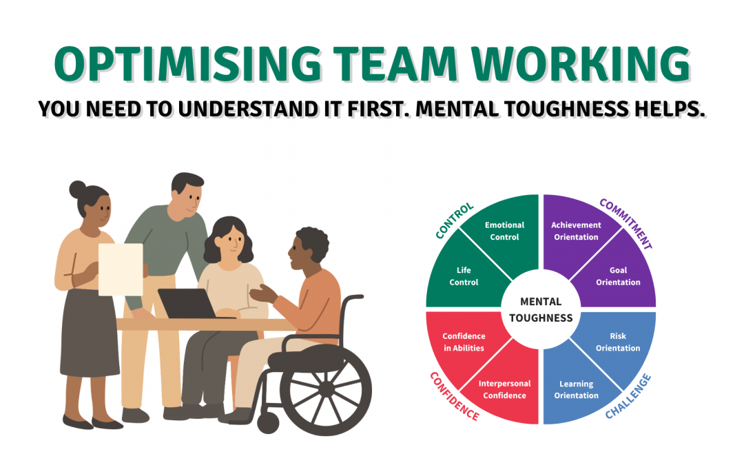 Optimising Team Working